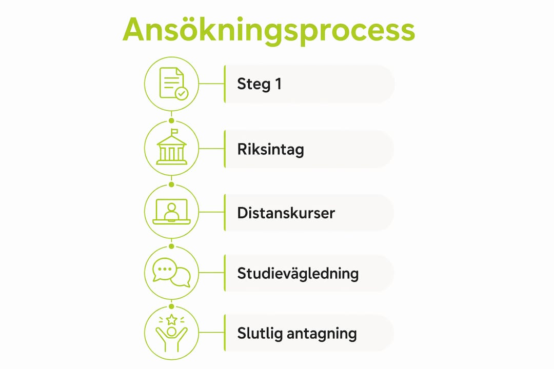 Så här går ansökan till Öckerö seglande gymnasieskola till – en överskådlig infograf