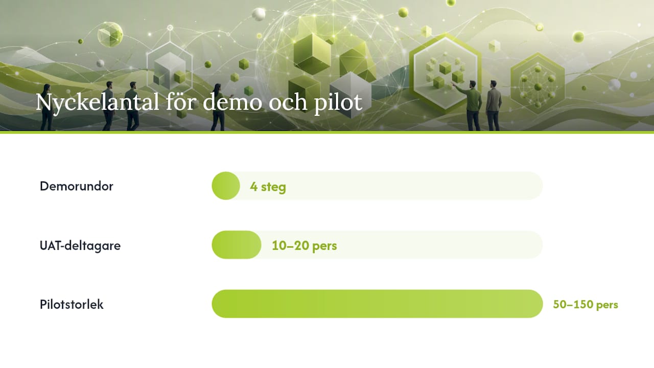 Checklistan: vad du måste testa och utvärdera under demo — overview diagram