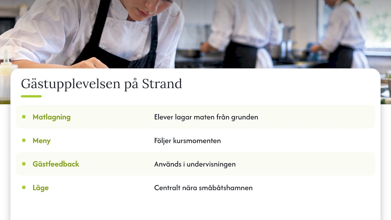 Vad kan du förvänta dig som gäst i en skolrestaurang? — overview diagram